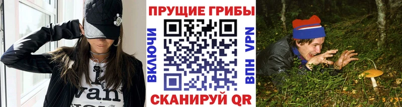 Галлюциногенные грибы прущие грибы  blacksprut рабочий сайт  Буйнакск 