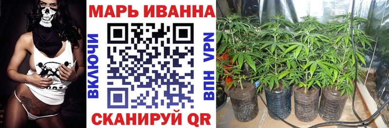 Шишки марихуана Amnesia закладки Буйнакск